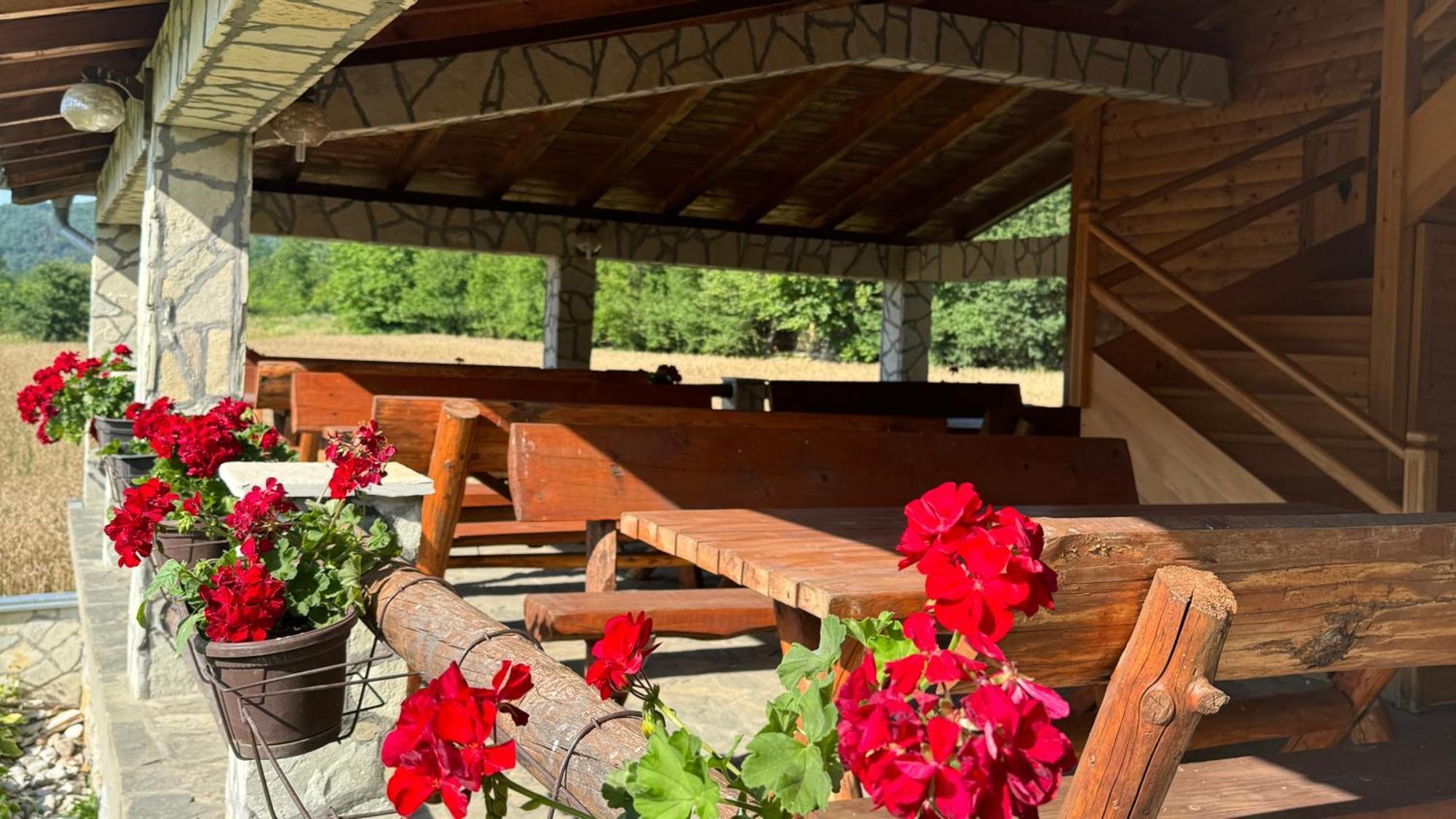 Forest Camp Despotovac Exteriör bild